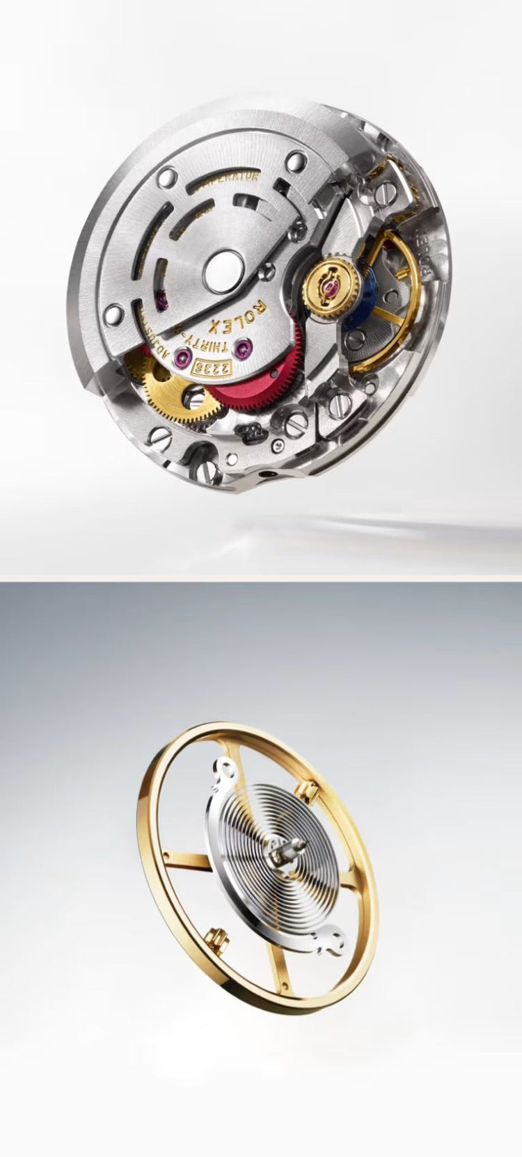 Distribuidor oficial Rolex em São Paulo - Montecristo